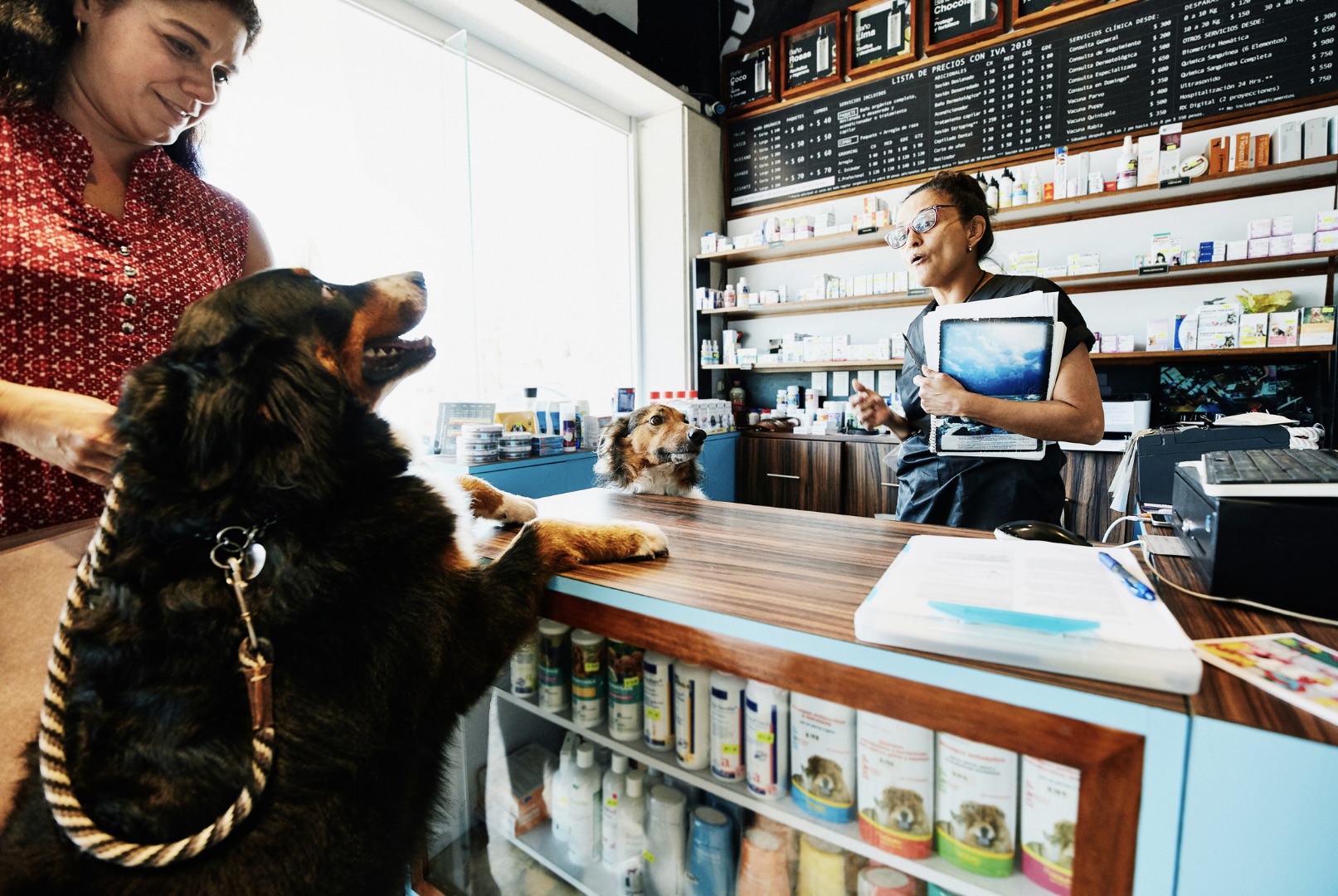 Pet-Friendly Businesses